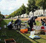 Gemeinsam die Stadt erblühen lassen – Urban Gardening in Potsdam fördern