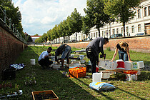 Gemeinsam die Stadt erblühen lassen – Urban Gardening in Potsdam fördern