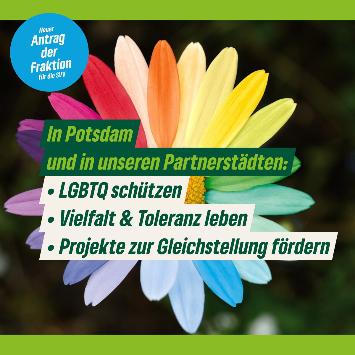 Unsere Neuanträge: Grüne Welle für Radfahrende, Tempo 30, Rechte für LGBTQ in Potsdams Partnerstädten